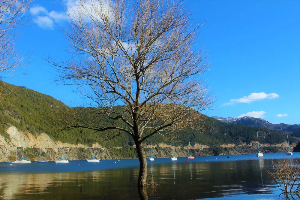 21640871_1650648778330646_5308455831499161585_o