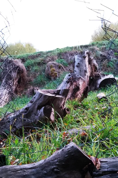 346459013_777540423763977_6779703850761145586_n