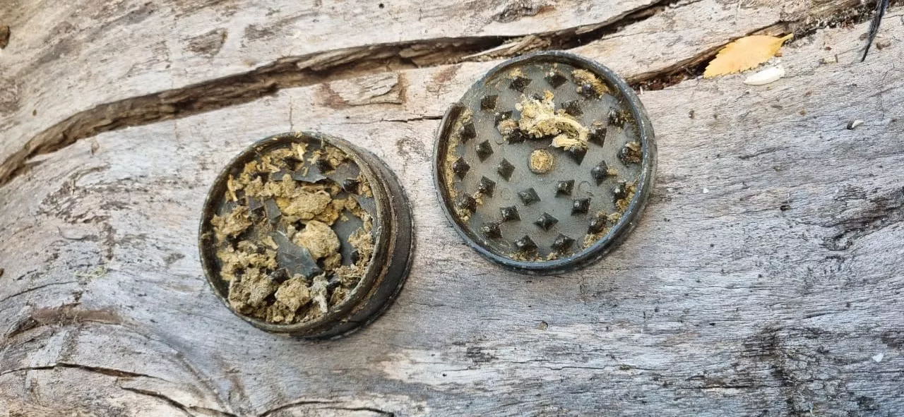 WhatsApp Image 2023-03-16 at 12.03.34