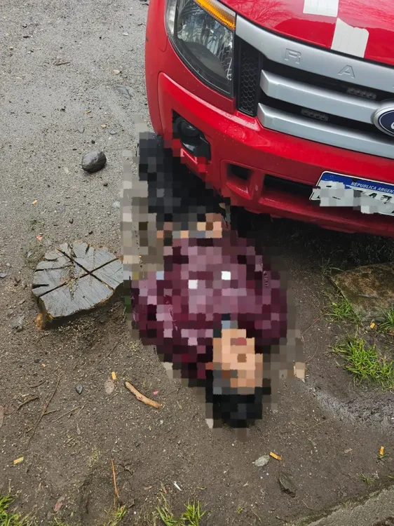 WhatsApp Image 2023-06-25 at 15.10.11