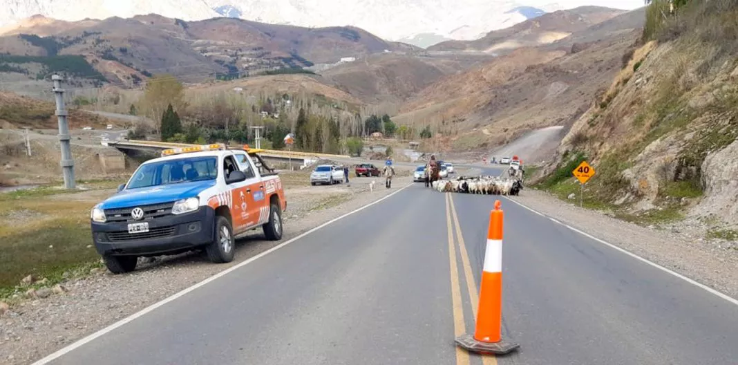 web-seguridad-vial-finde-largo-1068x528