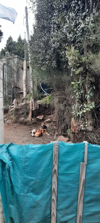 WhatsApp Image 2024-04-22 at 10.14.18