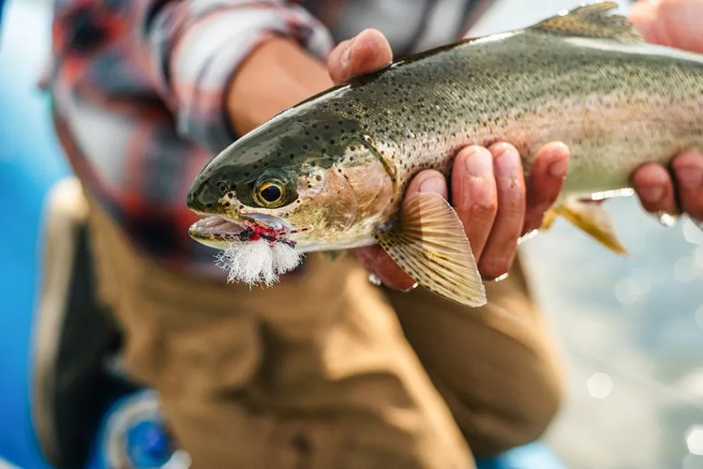 md - 2025-08-15T091130.019