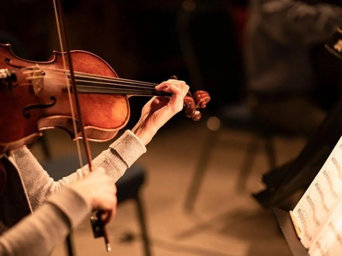 violin-ge863703da_640