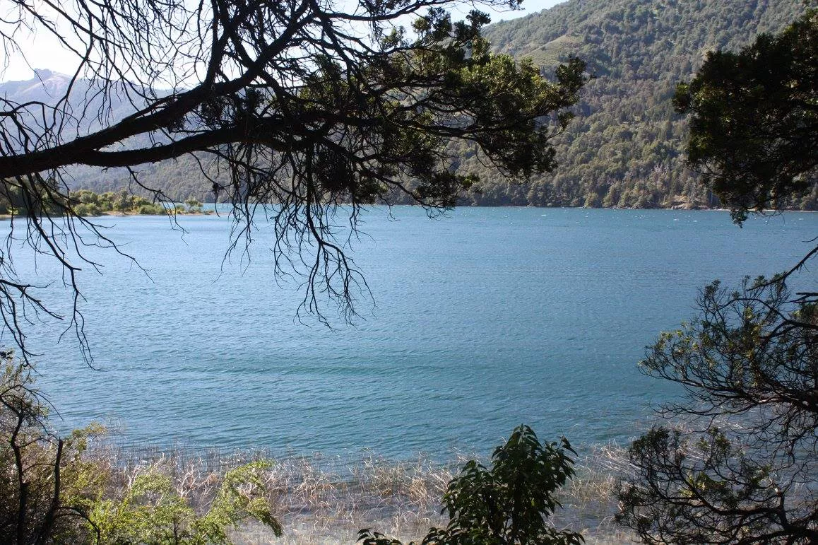 15369034_1358126750916185_676564308181105097_o