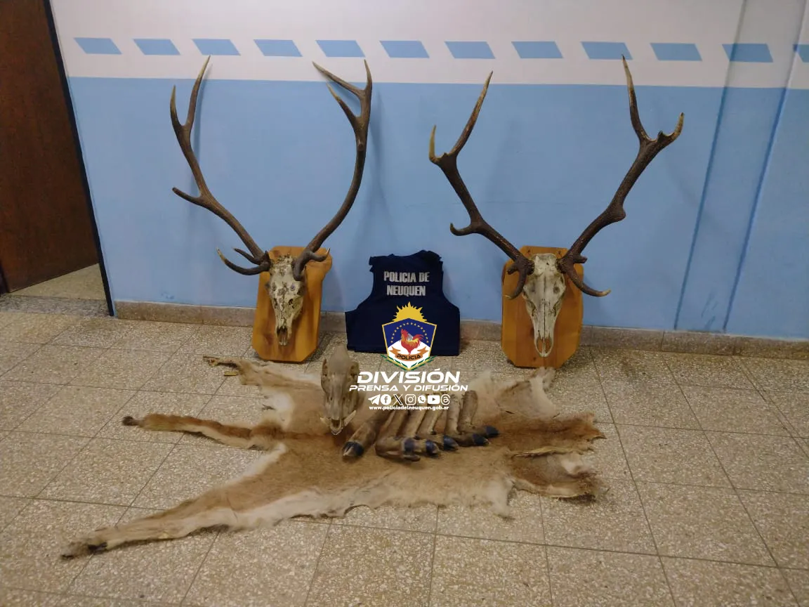 454532612_906004918224746_6163337291592809538_n