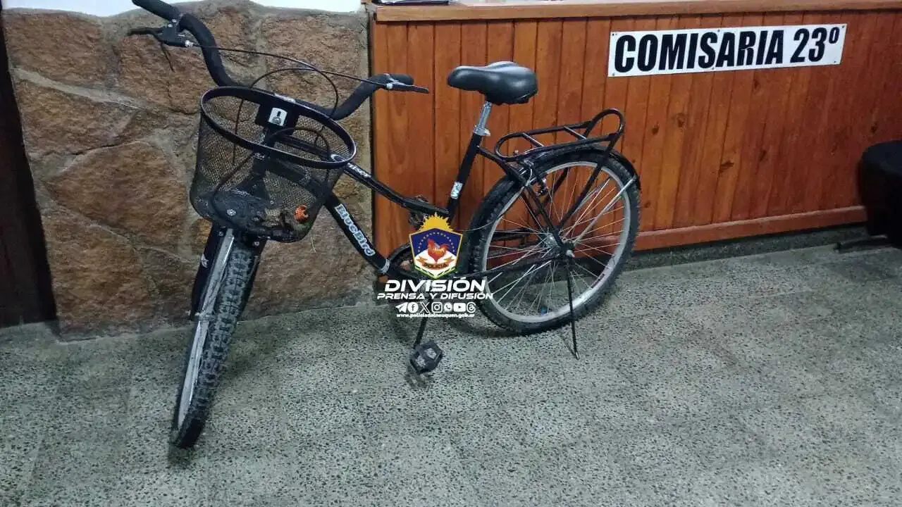 WhatsApp-Image-2023-08-28-at-8.40.09-AM11