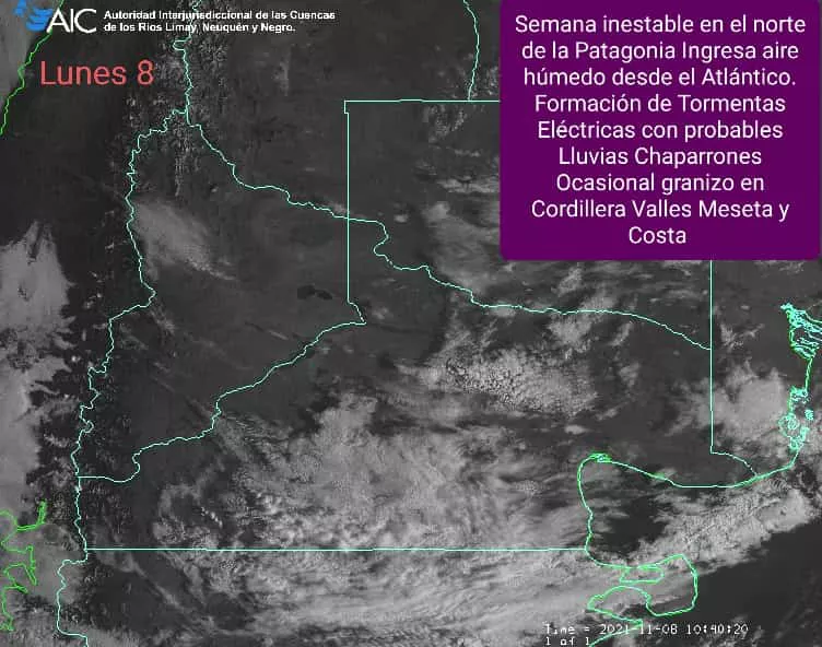 WhatsApp Image 2021-11-08 at 08.22.31