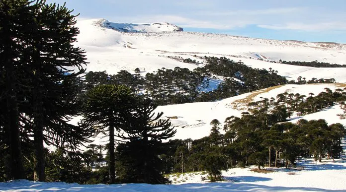 WEB-Villa-Pehuenia_Batea-MahuidaIMG_1446_021-696x387