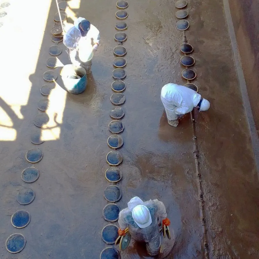 WhatsApp Image 2023-12-15 at 19.38.35