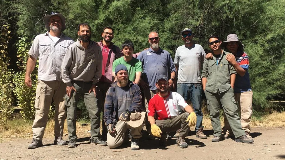 dinosaurios-acorazados-03