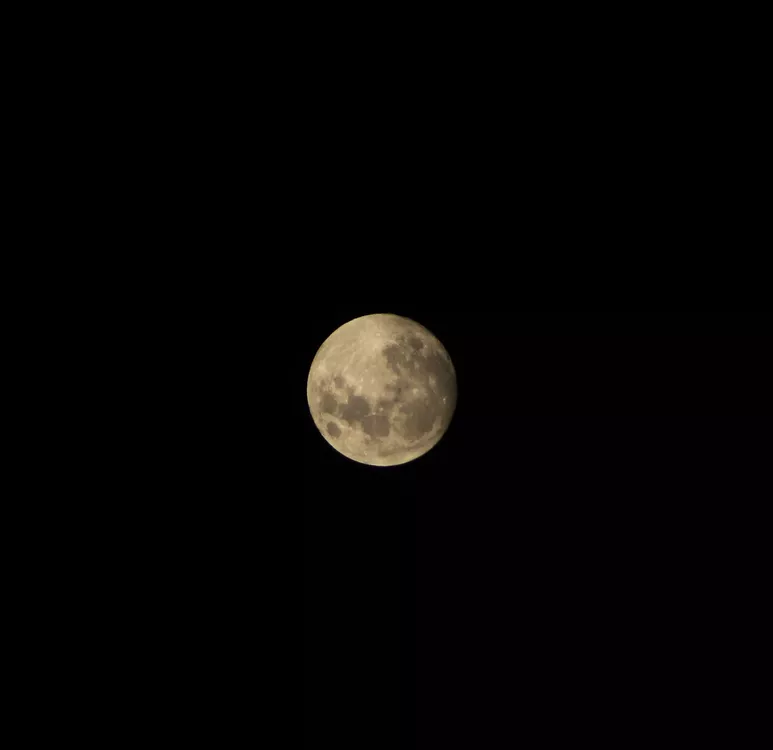 luna de noviembre