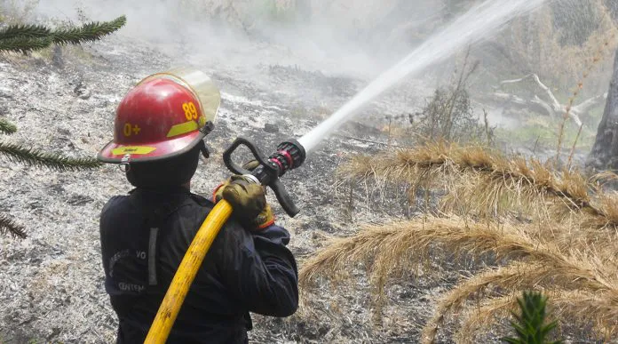 WEB-BOMBEROS-DSCN3796-696x387