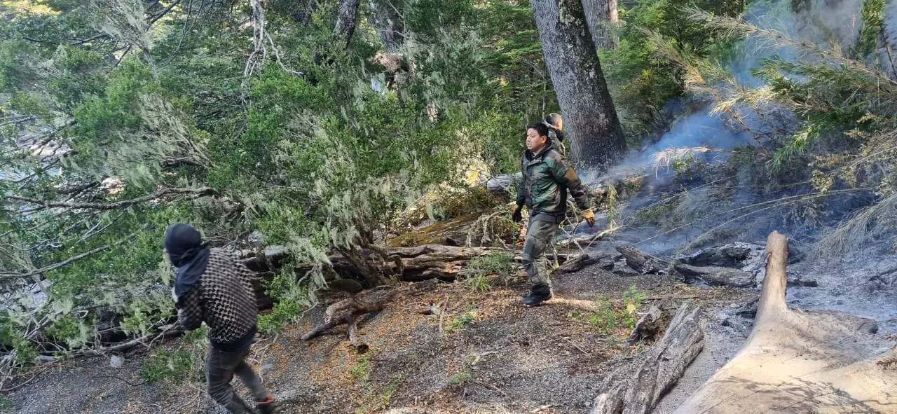 WhatsApp Image 2023-03-16 at 12.03.33 (1)