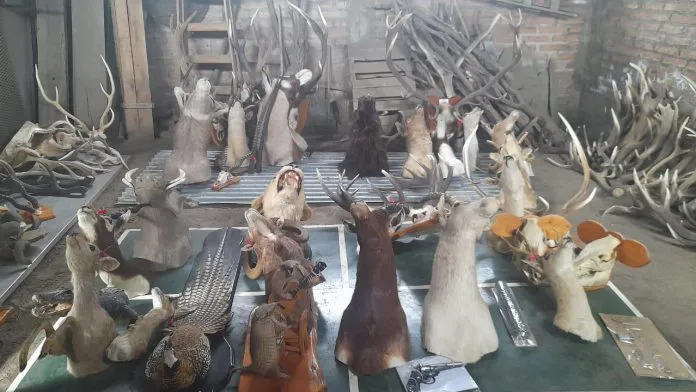 WhatsApp-Image-2024-09-19-at-20.17.52-696x392