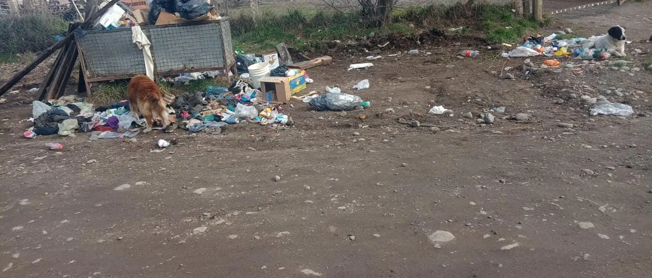 Imagen de WhatsApp 2024-10-16 a las 11.29.38_6170b5dc